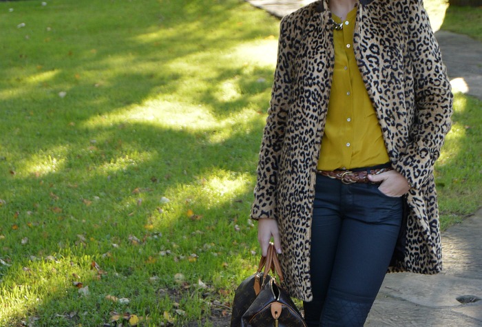Dureza Independientemente Borradura Leopard Print – Fashion Traveling